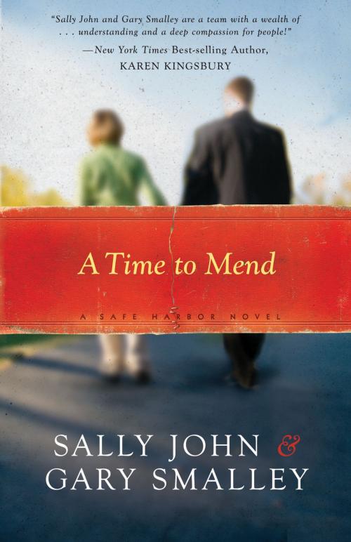 Cover of the book A Time to Mend by Sally John, Thomas Nelson