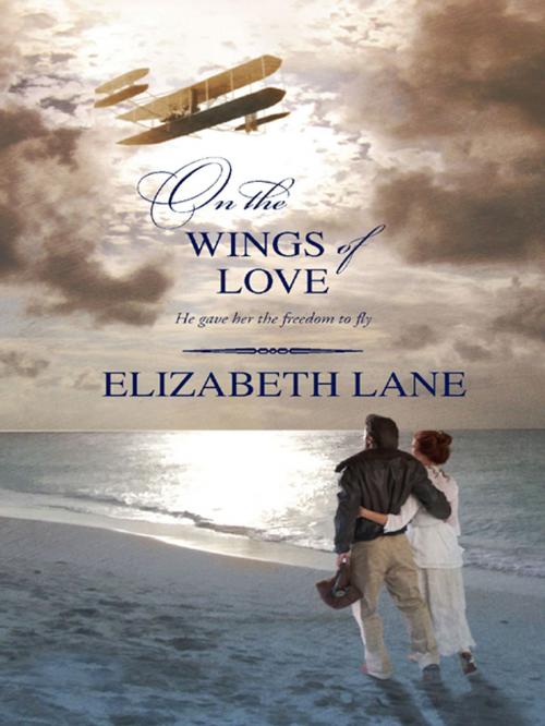 Cover of the book On the Wings of Love by Elizabeth Lane, Harlequin