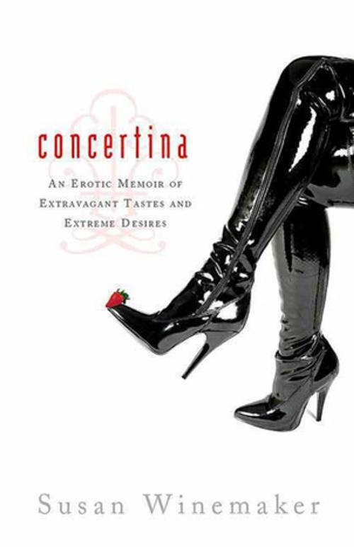 Cover of the book Concertina by Susan Winemaker, St. Martin's Press