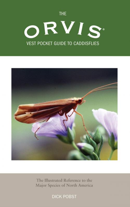 Cover of the book Orvis Vest Pocket Guide to Caddisflies by Dick Pobst, Lyons Press