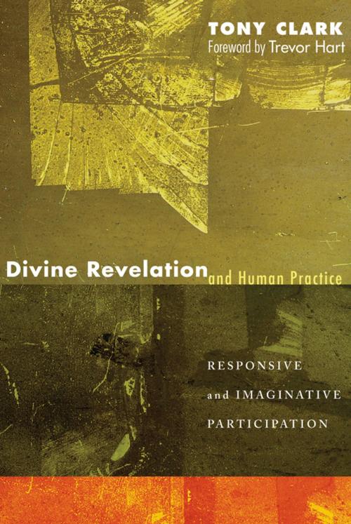 Cover of the book Divine Revelation and Human Practice by Tony Clark, Wipf and Stock Publishers