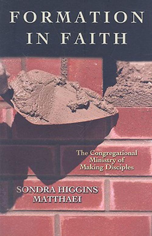 Cover of the book Formation in Faith by Sondra Higgins Matthaei, Abingdon Press
