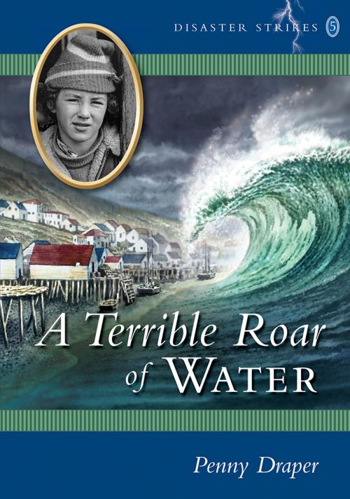 Cover of the book A Terrible Roar of Water by Penny Draper, Coteau Books