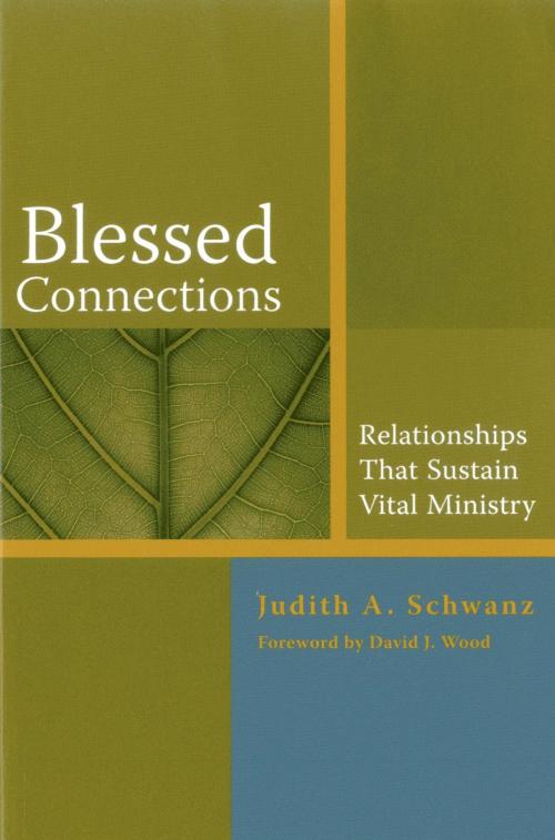 Cover of the book Blessed Connections by Judith Schwanz, Rowman & Littlefield Publishers