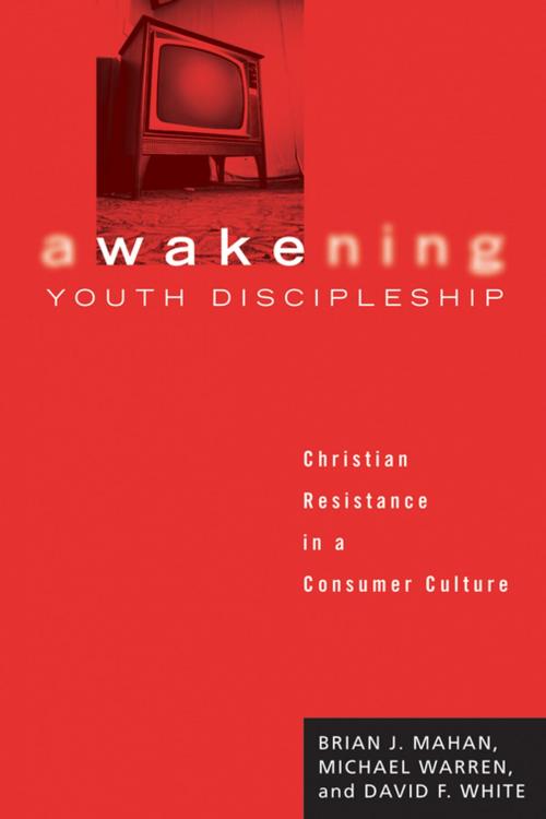 Cover of the book Awakening Youth Discipleship by Brian J. Mahan, Michael Warren, Wipf and Stock Publishers