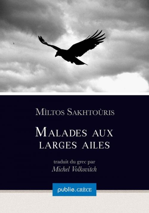 Cover of the book Malades aux larges ailes by Mìltos Sakhtoùris, publie.net