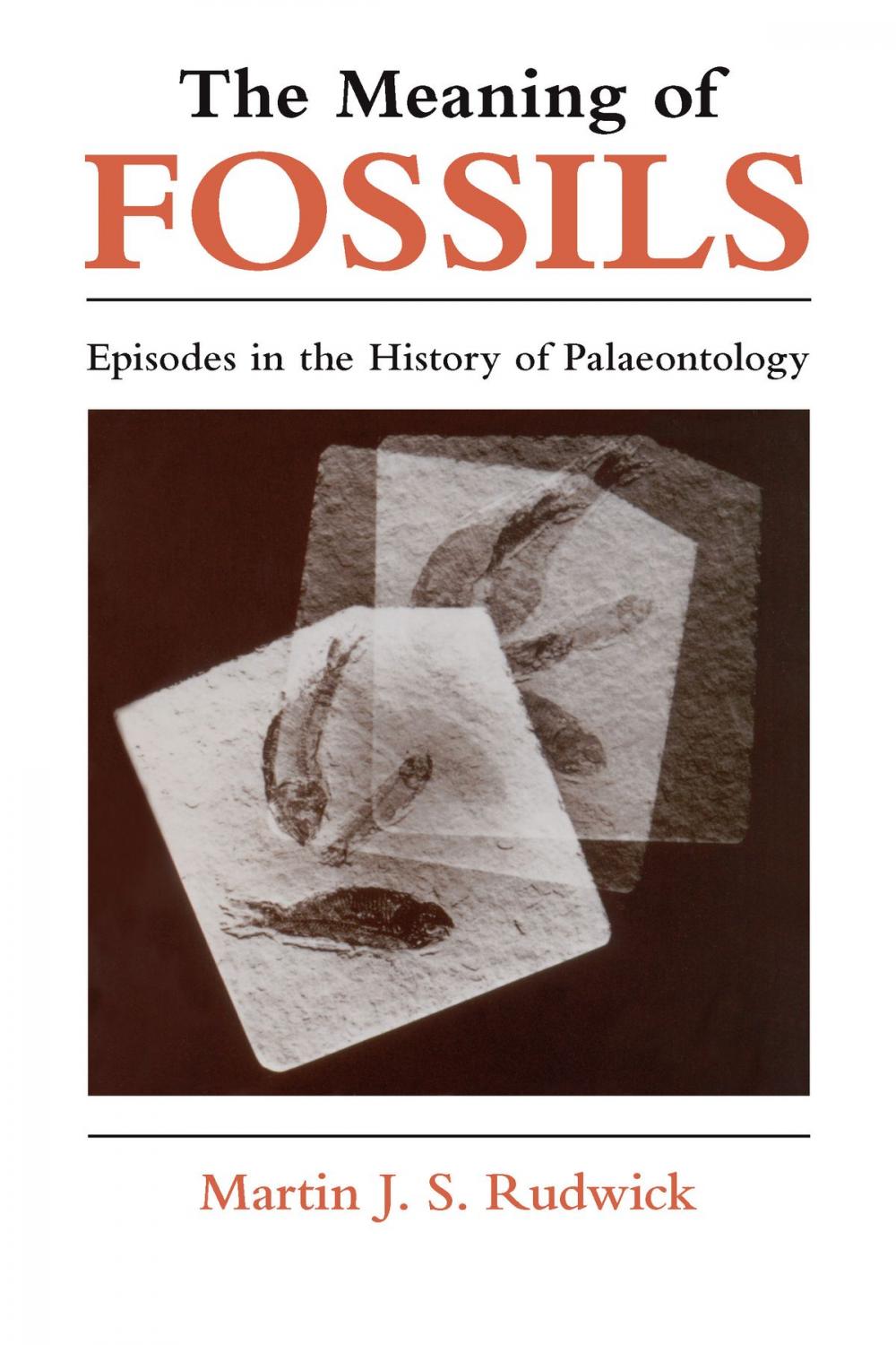 Big bigCover of The Meaning of Fossils