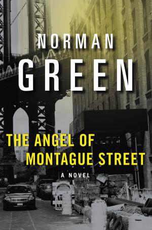 Cover of the book The Angel of Montague Street by Garin K. Hovannisian