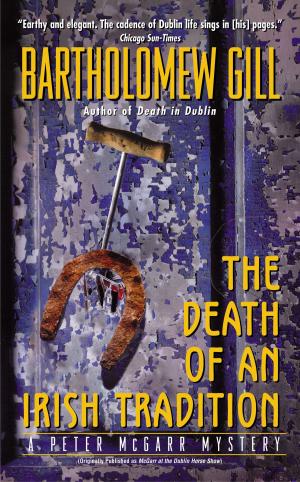 Cover of the book The Death of an Irish Tradition by Rebecca Curtis
