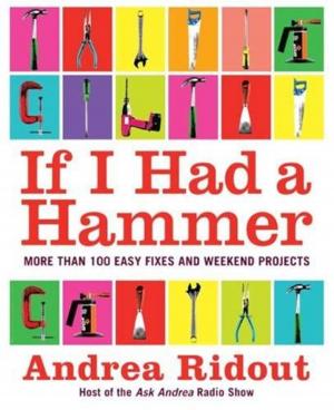 Cover of the book If I Had a Hammer by Peter Nichols