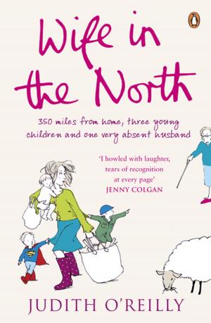 Cover of the book Wife in the North by Mary Berry