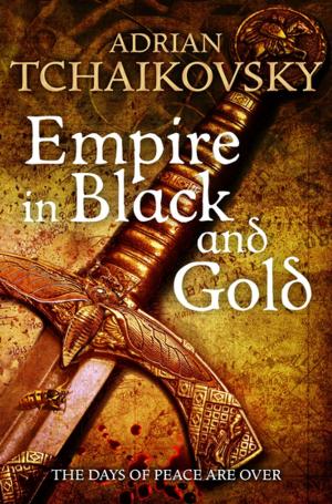 Cover of the book Empire in Black and Gold by Arielle Caldwell