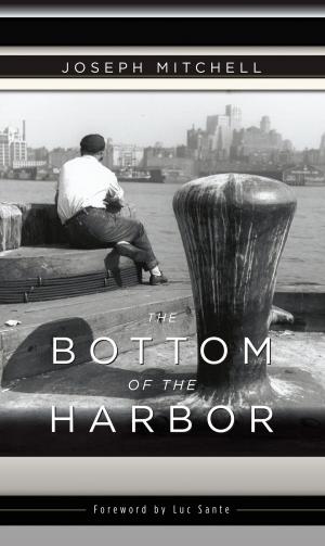 Cover of the book The Bottom of the Harbor by H.L. Mencken