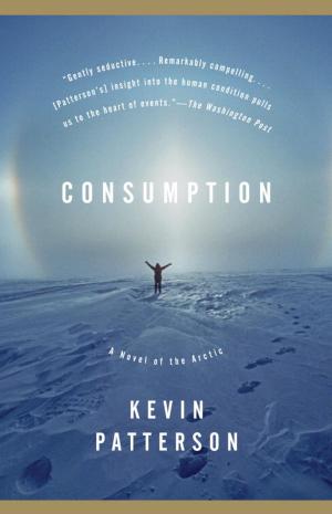 Cover of the book Consumption by Timothy Cooper