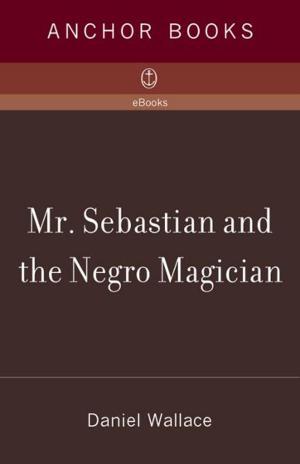 Book cover of Mr. Sebastian and the Negro Magician