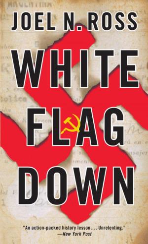 Cover of the book White Flag Down by Rosie Daley