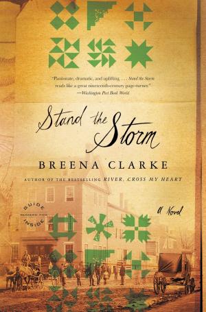 Cover of the book Stand the Storm by Courtney Angela Brkic