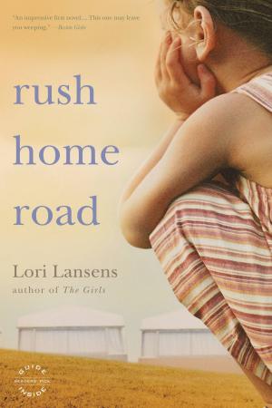 Cover of the book Rush Home Road by William Poundstone