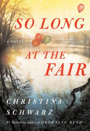 Cover of the book So Long at the Fair by Ben Dolnick