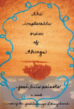 Cover of the book The Implacable Order of Things by Walter Mosley