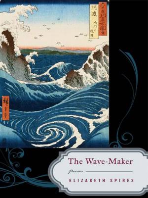 Cover of the book The Wave-Maker: Poems by Pat Ogden, Ph.D., Janina Fisher