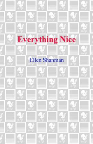 Cover of the book Everything Nice by Rebecca James