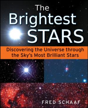 Cover of the book The Brightest Stars by Thomas Bien, Ph.D., Beverly Bien, M. Ed.