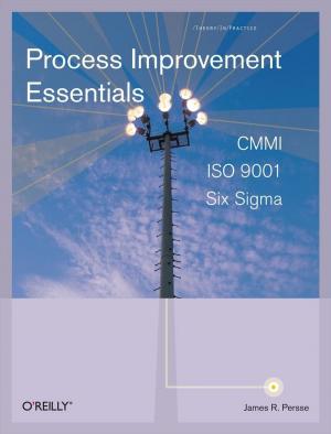 Cover of the book Process Improvement Essentials by David A. Karp, Andy Rathbone
