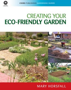 Cover of the book Creating Your Eco-Friendly Garden by Richard  Thomas, Sarah Thomas, David Andrew, Alan McBride