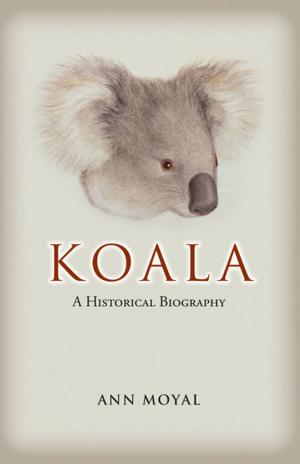 Cover of the book Koala by Gisela Kaplan