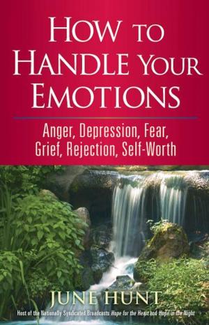 Cover of the book How to Handle Your Emotions by H. Norman Wright