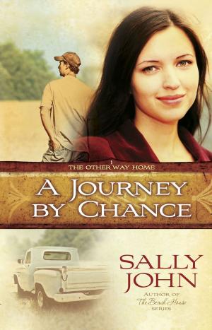 Cover of the book A Journey by Chance by Sally John