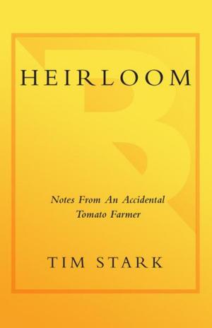 Cover of the book Heirloom by Ian Watson