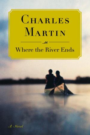 bigCover of the book Where the River Ends by 