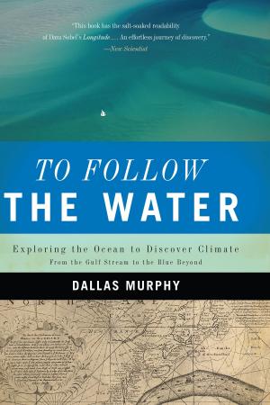 Cover of the book To Follow the Water by John Allen Paulos
