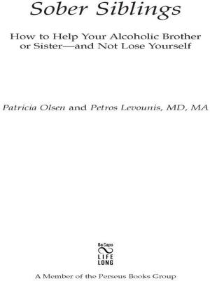 Cover of the book Sober Siblings by Frank Luntz