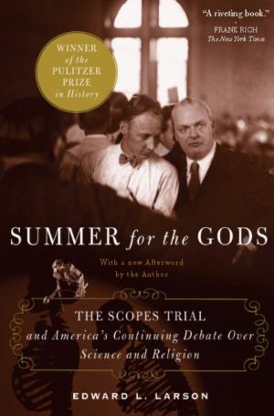 Book cover of Summer for the Gods
