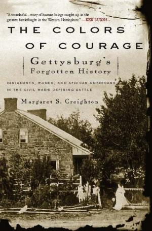 Cover of the book The Colors of Courage by David Stipp