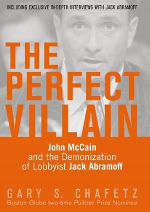 Book cover of The Perfect Villain