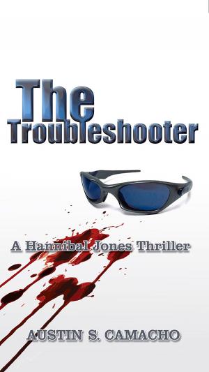 Cover of the book The Troubleshooter by Jeffrey Westhoff