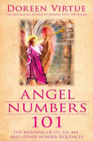 Cover of the book Angel Numbers 101 by James Van Praagh