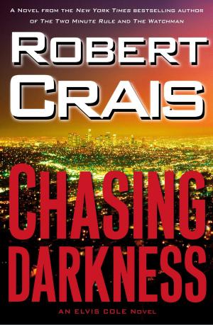 Cover of the book Chasing Darkness by David Williams