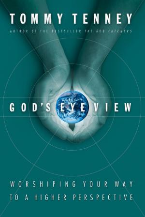 Book cover of God's Eye View