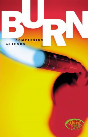 Cover of the book Burn by Wayne Thomas Batson