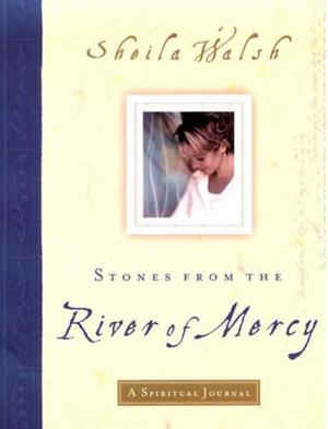 Cover of the book Stones from the River of Mercy by Dewey Bertolini, Rebecca Bertolini