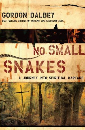 Book cover of No Small Snakes