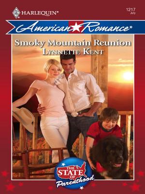 Cover of the book Smoky Mountain Reunion by Debbi Rawlins, Melinda Cross, Tina Wainscott