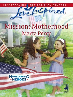 Cover of the book Mission: Motherhood by Elizabeth Oldfield