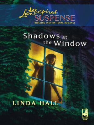 Book cover of Shadows at the Window