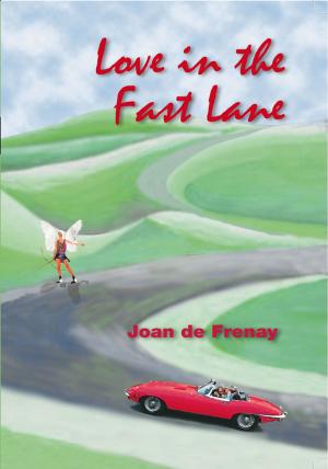 Cover of the book Love in the Fast Lane by Paul John